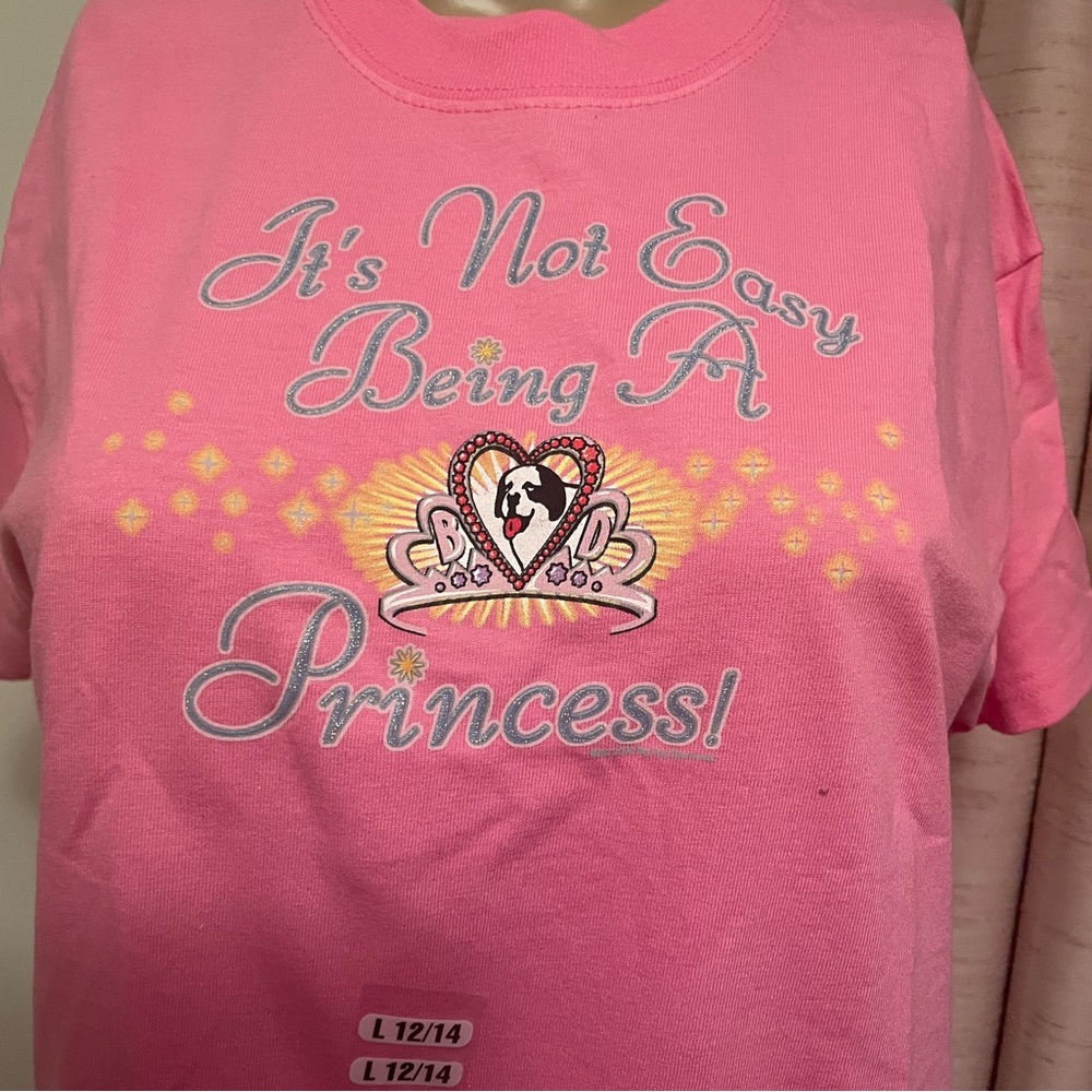 👸Princess T-shirt Big Dog Hot Pink L 12-14 👑